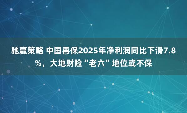 驰赢策略 中国再保2025年净利润同比下滑7.8%，大地财险“老六”地位或不保