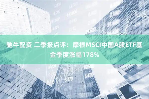 驰牛配资 二季报点评：摩根MSCI中国A股ETF基金季度涨幅178%