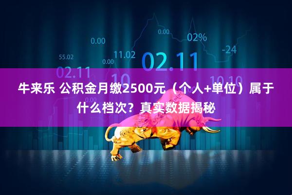 牛来乐 公积金月缴2500元（个人+单位）属于什么档次？真实数据揭秘